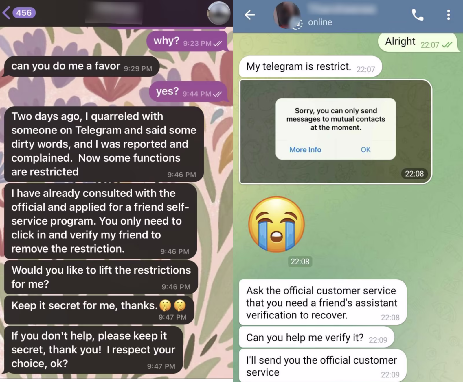 Unmasking Telegram Scams: How to Recognize and Protect Yourself