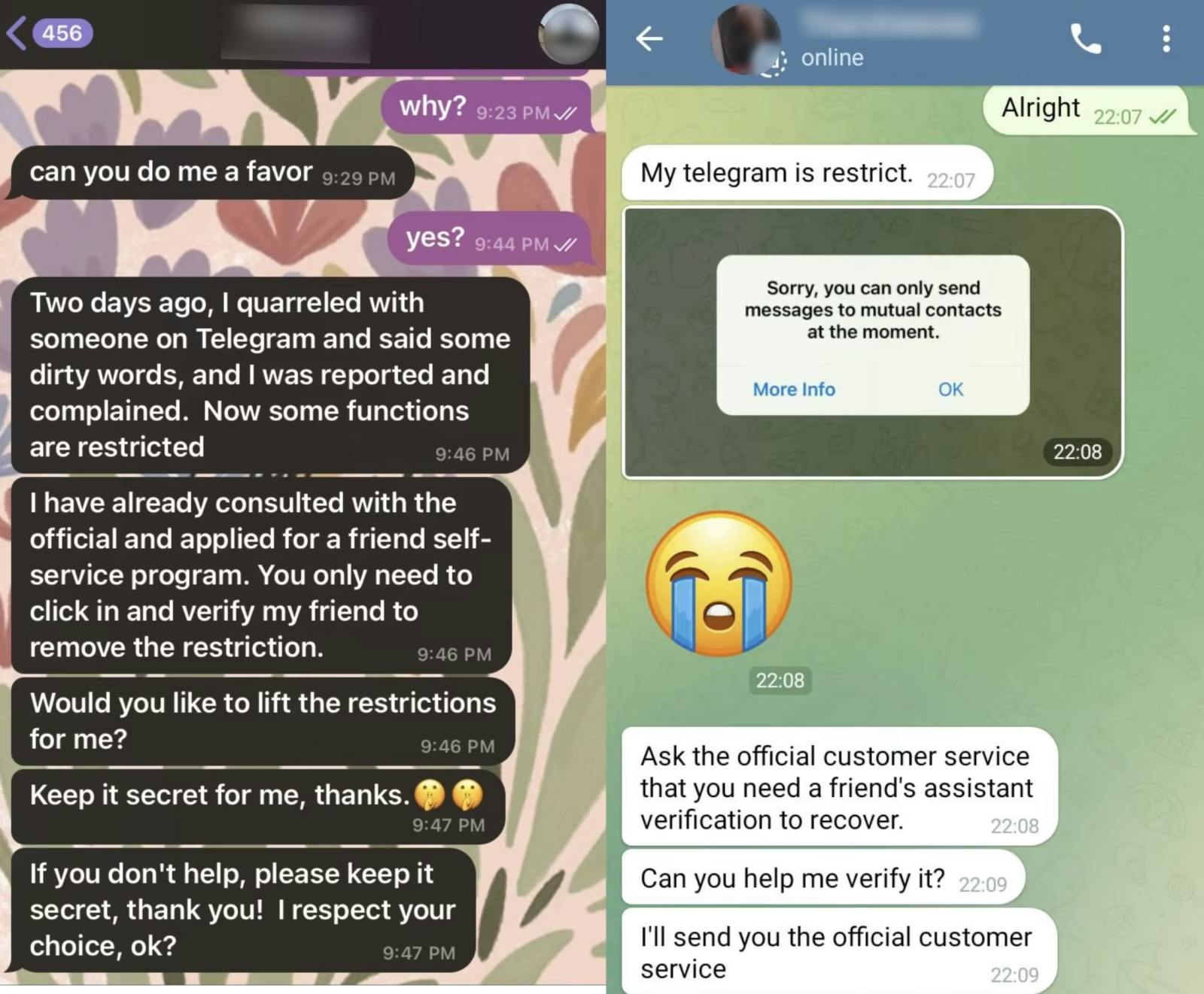Unmasking Telegram Scams: How to Recognize and Protect Yourself