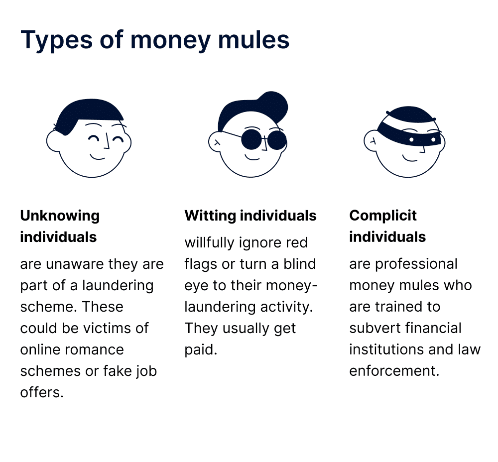 The Money Mule Phenomenon: Unmasking the Web of Financial Deception